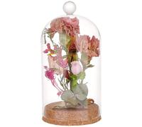 ApuaVireo&Co Cloche en Verre avec Base, vitrine, décoration en Verre, Bouteilles 8,8 x 17 cm(Cylinder)