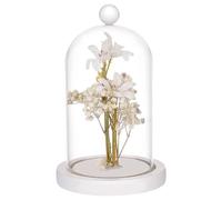 ApuaVireo&Co Cloche en Verre avec Base, vitrine, décoration en Verre, Bouteilles 8,8 x 17 cm(Cylindrical)