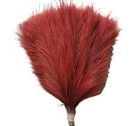 ApuaVireo&Co Herbe de la Pampa, Grand Bouquet de 1, 5, 10 ou 30 pièces, décoration de Vase de Noël Moelleux de 42 cm, for Mariage, Maison, Bricolage(016wine Red,10pcs)