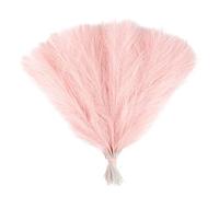 ApuaVireo&Co Herbe de la Pampa, Grand Bouquet de 15/30 pièces, Fausses Plantes, Fleurs séchées, roseaux, décoration de fête de Mariage for la Maison, la Chambre à Coucher, Le Vase(F02,15pcs)