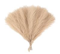 ApuaVireo&Co Herbe de la Pampa, Grand Bouquet de 15/30 pièces, Fausses Plantes, Fleurs séchées, roseaux, décoration de fête de Mariage for la Maison, la Chambre à Coucher, Le Vase(F04,30pcs)