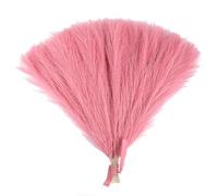 ApuaVireo&Co Herbe de la Pampa, Grand Bouquet de 15/30 pièces, Fausses Plantes, Fleurs séchées, roseaux, décoration de fête de Mariage for la Maison, la Chambre à Coucher, Le Vase(F07,15pcs)