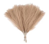 ApuaVireo&Co Herbe de la Pampa, Grand Bouquet de 15/30 pièces, Fausses Plantes, Fleurs séchées, roseaux, décoration de fête de Mariage for la Maison, la Chambre à Coucher, Le Vase(F05,15pcs)