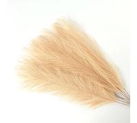 ApuaVireo&Co Herbe de la Pampa, Grand Bouquet de Fleurs artificielles, 10/15 pièces, for décoration de Mariage, Maison, fête, Chambre à Coucher, Fausses Plantes, Vase, Roseau(Curry,15pcs)