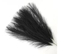 ApuaVireo&Co Herbe de la Pampa, Grand Bouquet de Fleurs artificielles, 10/15 pièces, for décoration de Mariage, Maison, fête, Chambre à Coucher, Fausses Plantes, Vase, Roseau(Black,10pcs)