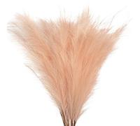 ApuaVireo&Co Herbe de la Pampa Grande 5/10 pièces Herbe de la Pampa Artificielle décoration de fête à la Maison Simulation Plante Fleurs Roseau Bouquet de Fleurs Vase(S1,10pcs)