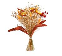 ApuaVireo&Co Herbe de la Pampa, Grande décoration en Herbe de la Pampa, Bouquets de Demoiselle d'honneur, Fleurs de Lavande séchées, Arrangements de queues de Lapin séchées Naturelles for Mariage(G)