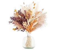 ApuaVireo&Co Herbe de la Pampa, Grande Plante Naturelle séchée, Bouquet de roseaux, Ornements for séance Photo de Mariage, décoration de Maison for Thanksgiving(100 Sticks as Shown)