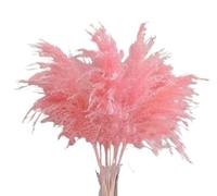 ApuaVireo&Co Herbe de la Pampa, Grandes Plumes décoratives, Fleurs Blanches et Roses, Bouquet de Fleurs artificielles for décoration, Petite Herbe de la Pampa(Pink)