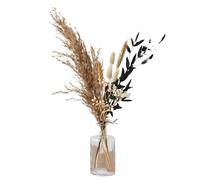ApuaVireo&Co Herbe de la pampa Grandes tiges de roseau moelleuses Pampas Feuilles de fleurs séchées naturelles d'herbe de la pampa Véritable roseau Petites feuilles de palmier Décoration d'intérieur