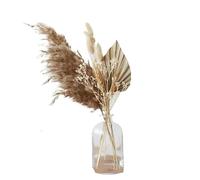ApuaVireo&Co Herbe de la pampa Grandes tiges de roseau moelleuses Pampas Feuilles de fleurs séchées naturelles d'herbe de la pampa Véritable roseau Petites feuilles de palmier Décoration intérieure