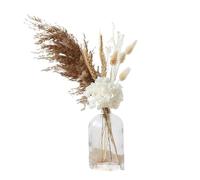 ApuaVireo&Co Herbe de la pampa Grandes tiges de roseau moelleuses Pampas Feuilles de fleurs séchées naturelles d'herbe de la pampa Véritable roseau Petites feuilles de palmier Décoration intérieure
