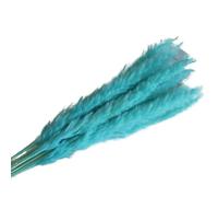 ApuaVireo&Co Lot de 15 Grandes Herbes de Pampa séchées Naturelles, Petites Herbes de Pampa artificielles for décoration de Maison, Magasin, Mariage, Campagne(Sky Blue)