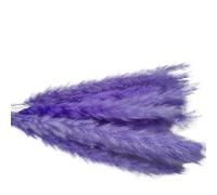ApuaVireo&Co Lot de 15 Grandes Herbes de Pampa séchées Naturelles, Petites Herbes de Pampa artificielles for décoration de Maison, Magasin, Mariage, Campagne(Purple)