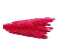 ApuaVireo&Co Lot de 15 Grandes Herbes de Pampa séchées Naturelles, Petites Herbes de Pampa artificielles for décoration de Maison, Magasin, Mariage, Campagne(Red)