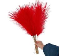 ApuaVireo&Co Lot de 5, 10 ou 20 Bouquets d'herbe de Pampa Artificielle, for décoration de Maison, Mariage, Vacances, Fausses Fleurs, à Faire soi-même(Red,10PCS)