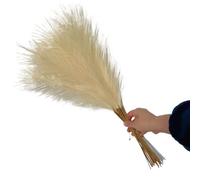ApuaVireo&Co Lot de 5, 10 ou 20 Bouquets d'herbe de Pampa Artificielle, for décoration de Maison, Mariage, Vacances, Fausses Fleurs, à Faire soi-même(Beige,5PCS)