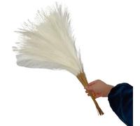 ApuaVireo&Co Lot de 5, 10 ou 20 Bouquets d'herbe de Pampa Artificielle, for décoration de Maison, Mariage, Vacances, Fausses Fleurs, à Faire soi-même(Milky White,5PCS)