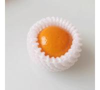 ApuaVireo&Co Mousse de poche de manchon de filet de mousse de 120 pièces, for le sac d'épaississement d'emballage de Transport fragile de légume de pomme(Color 09,12x7cm)