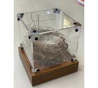 ApuaVireo&Co Vitrine en Acrylique avec Base en Bois, à Monter soi-même, Coins métalliques, Base épaisse de 3 cm, Personnalisable, Plusieurs Tailles(30x30x50cm(12x12x20in))