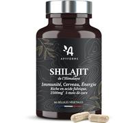 Apyforme - Shilajit de l'Himalaya 50% Acide Fulvique - Soutien de la Vitalité et de l'Énergie Cellulaire - 500 mg par Gélule, 85 Minéraux et Oligo-éléments Naturels - 3 Mois - 90 Gélules