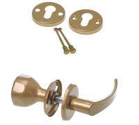 Aqbau® Poignée de porte avec bouton de porte & rosace PZ | Poignée de porte | Bouton (or)