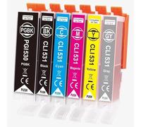 AQree Lot de 6 cartouches d'encre de rechange pour Canon PGI-530 CLI-531 pour Canon TS8750 TS8751 (PGBK/BK/C/M/Y/GY, lot de 6)