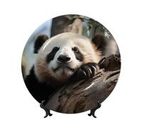 AQRJKHD Assiette décorative en porcelaine anglaise de 20,3 cm - Motif panda endormi - Assiettes à dîner en céramique avec présentoir - Ornements en céramique - Pour la maison, le bureau, la décoration