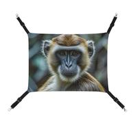 AQRJLPM The Silent Monkey Hamac pour animal domestique avec sangles réglables et crochets en métal à suspendre, hamac de couchage doux et respirant pour chats, chiots, lapins, petits animaux