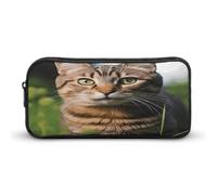 AQRJLPM Trousse à crayons avec motif chat tigré sur l'herbe - Grande capacité - Simple - Portable - Esthétique - Fermeture éclair