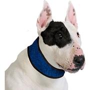 Aqua Coolkeeper 50AQCOPB09 Collier Rafraîchissant pour Chien Bleu Pacific 35-45 cm x 6 cm