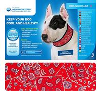 Aqua Coolkeeper 50AQCORW07 Collier Rafraîchissant pour Chien Rouge Western 30-34 cm x 4 cm