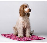 Aqua Coolkeeper Tapis pour Chien Taille Moyenne Roses Motif 60cm X 50cm