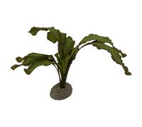Aqua Della Aquarium Décoration Echinodorus 5cm Vert Usine De L'Art pour Poisson