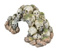 Aqua Della Cave De Crâne Pour Aquariums 24x17,3x13 Cm Décor Pour Poissons