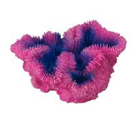Aqua Della Corail Symphyllia Violet 12x5x12cm Déco pour Aquarium Zierfische