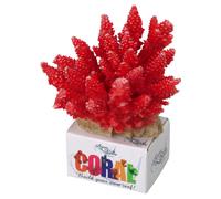 Aqua Della Korallen-Modul Acropora Rouge 11,5x10,5x9cm Déco pour Aquarium