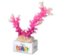 Aqua Della Korallenmodul Staghorn Corail Rose/Blanc 19,5x13,5 CM