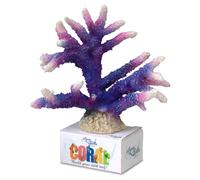Aqua Della Module De Corail Staghorn Violet 17X16,7X13Cm Décoration De Poisson