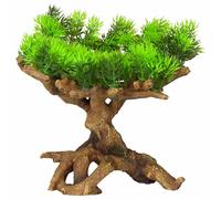 Aqua d'ella Plante d'aquarium Flora Scape 11 taille M 234/432150
