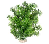 Aqua Della Plante D'Aquarium Phoenix Vert Foncé 30 Cm, Pour Aquarium & Terrarium