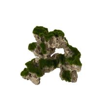 Aqua Della Roche de Mousse 1 Décoration d'Aquarium 26 x 13,5 x 24,5 cm