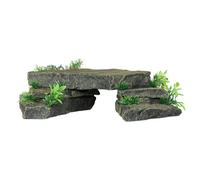 Aqua Della Schieferbrücke pour Aquariums 36x21x9,5 CM Avec Plantes Déco