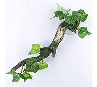 AQUA KT Terrarium d'angle pour Reptile avec Ventouse pour amphibien, lézard, Serpent, Escalade