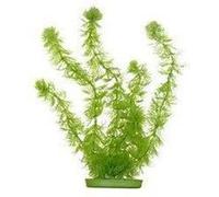 Plantes artificielles Marina Hornwort 20 cm - Plastiques - Vertes - Pour aquarium