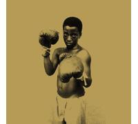 Aqua Timez - Stay Gold