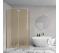 Aqua Vista Oria Cuadra paroi latérale - 100x200cm - avec kit de montage - pour cabine de douche - verre champagne - inox brossé SW1244992/SW1186310