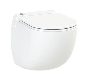 Aquacompact Wall - WC Suspendu avec Broyeur Intégré, Céramique Anticalc, Abattant Antibact Détachable Frein de Chute, Double Chasse Éco, Relevage puissant, 500W, Fabrication Française, Garantie 2 Ans