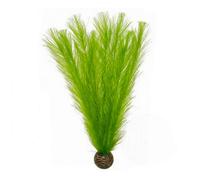 AQUADISTRIB-Plante artificielle aquarium cabomba, facile d’entretien - SUPERFISH - modèle Easy Plants