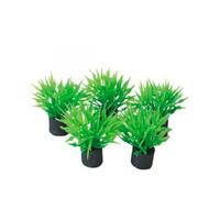 AQUADISTRIB-Plante artificielle aquarium nano, 2 cm, SUPERFISH Easy Plants - Lot 5 pièces